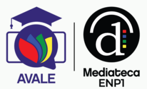 Aula Virtual Mediateca P1